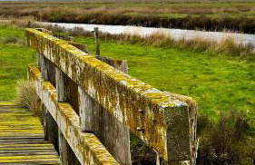 Hallig Hüs - Foto 36