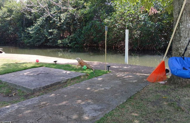 Bamboleo Inn Belize - Foto 27