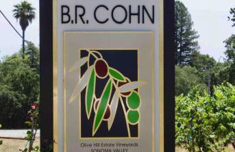 Hilltop Haven - Scenic Getaway Near Top Wineries - Foto 30