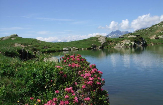 Amici 1. OG West - Foto 41