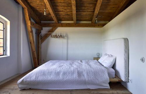 ŻAR - Gorzelnia w Żarnowcu - Foto 65