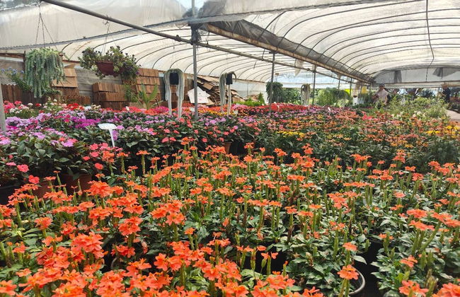 Longquan Royal Villa - Foto 23