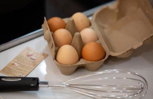 Feed Deer and Chickens Cozy Cottage 8 min to Boerne - Photo 55