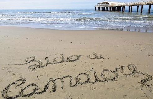 Amazing Home In Capezzano Pianore - Foto 15