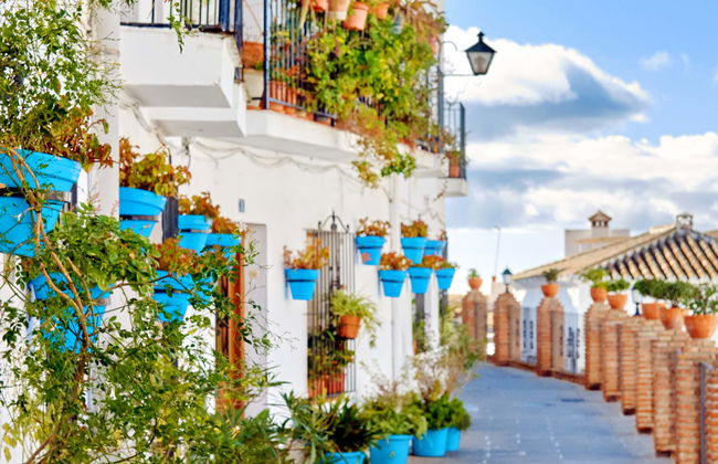 Visite privée dans Mijas. À vous de choisir ! - Photo 1