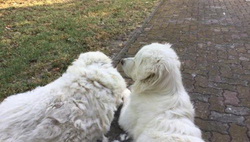 Agriturismo Flabeto - Foto 4