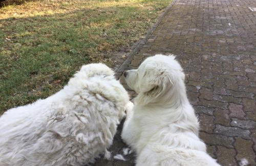 Agriturismo Flabeto - Foto 4