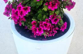 Casa Vacanza Nonna Anna - Foto 79