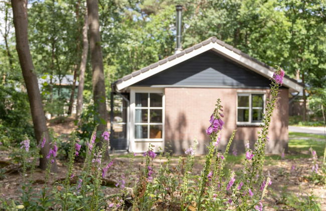 Bungalow in Park De Peel - Car-free Retreat - Photo 21