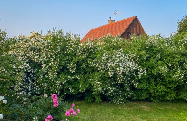 2 bedroom House in Lwówek Śląski with garden and terrace - Photo 39
