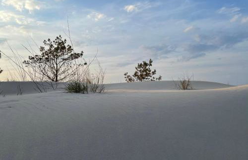 Golden Apartment Rogowo - Foto 41