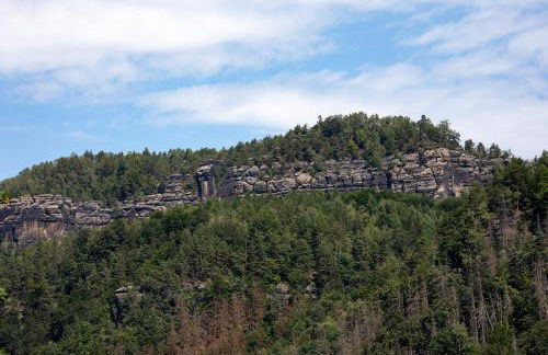 Burg Schöna - Suiten und Zimmer - Foto 38