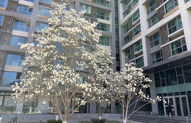 BEIJING SEASONS PARK APARTMENT - Foto 43