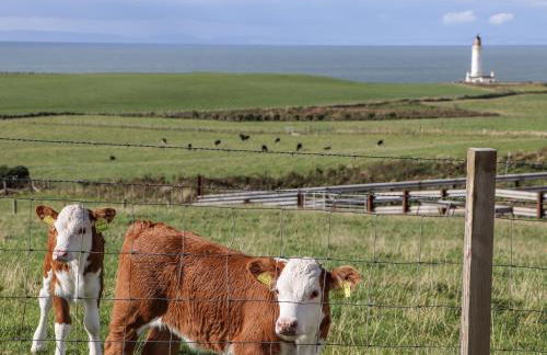 Corsewall Castle Farm Lodges - Foto 47