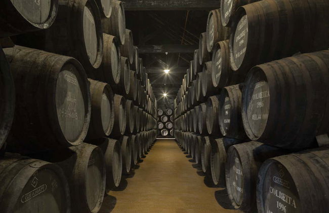 Visita a la bodega Graham's - Foto 6