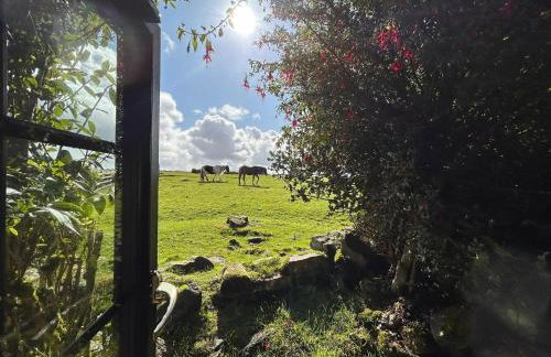 Hallagenna Cottages - Foto 35