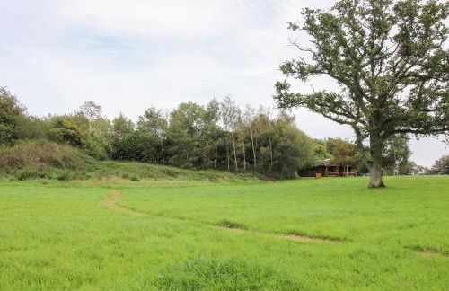 Brynallt Country Park - Foto 22