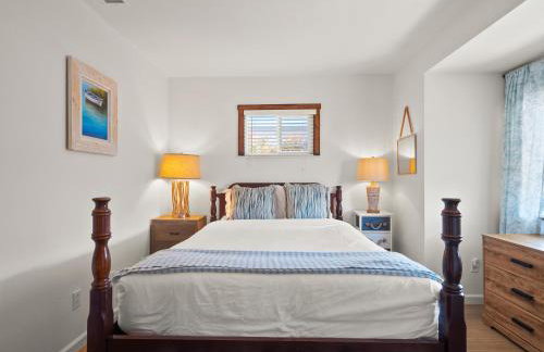 Bay Park Garden Paradise - central Location, AC, Washer Dryer & Private yard! - Foto 12