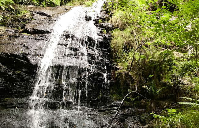 Casona de Labrada - Foto 79