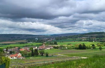 Le Coq De Champagne - Foto 1