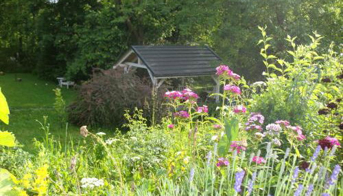 Lawendowa Dolina - Foto 3, Garden