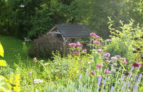 Lawendowa Dolina - Foto 3