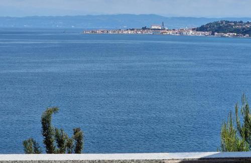 Villa del Golfo - Foto 58