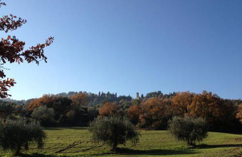 Podere Schioppello Casale con appartamenti privati - Foto 39