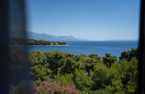 The Rooftop - Photo 76