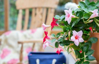 Puddleduck Valley - Dog Friendly - Foto 17