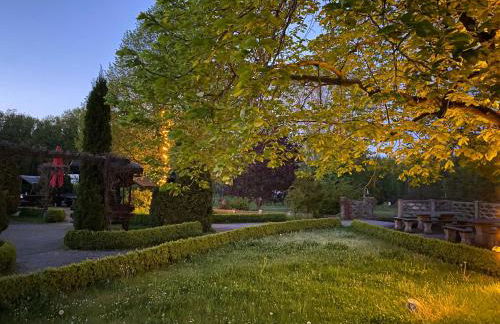 Terassenblick am See - Foto 20