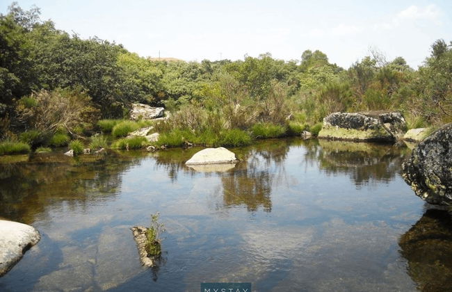 MyStay - Casa do Carmo - Foto 29