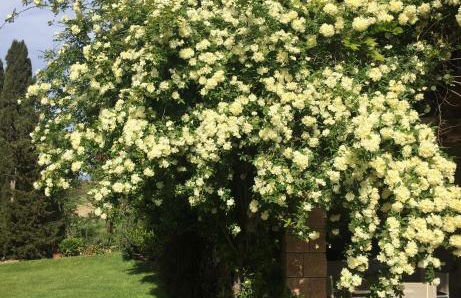 Agriturismo San Carlo - Foto 50