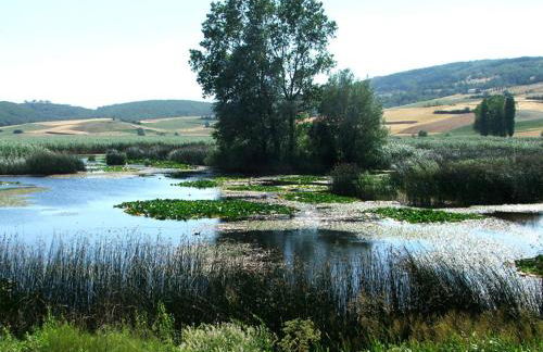 Alba dei due Soli, Appartamenti - Photo 23