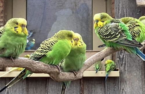 Schöne Wohnung in Hessen mit Ruhebereich - Foto 17