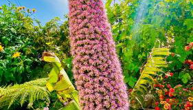 Finca Maracuya - Foto 4