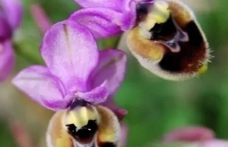 Olive&Sea Villa-OLIVE - Foto 47