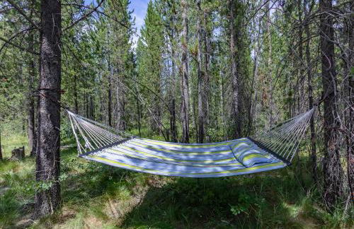 Hooter Hollow by KABINO Fire Pit Big Driveway SmartTV Grill WiFi - Foto 5