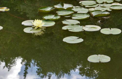 Locanda della Rocca - Foto 42