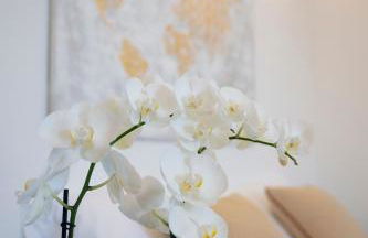 Dimora la Fenice Ambra Apartment - Foto 15