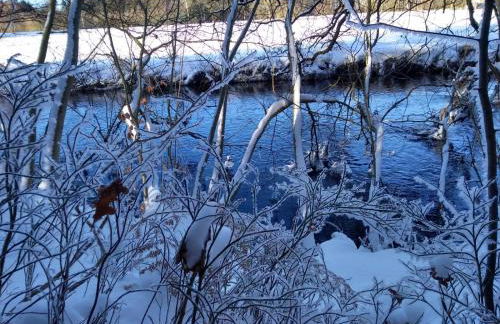 Villa Duck-Dich-Südheide - Photo 36