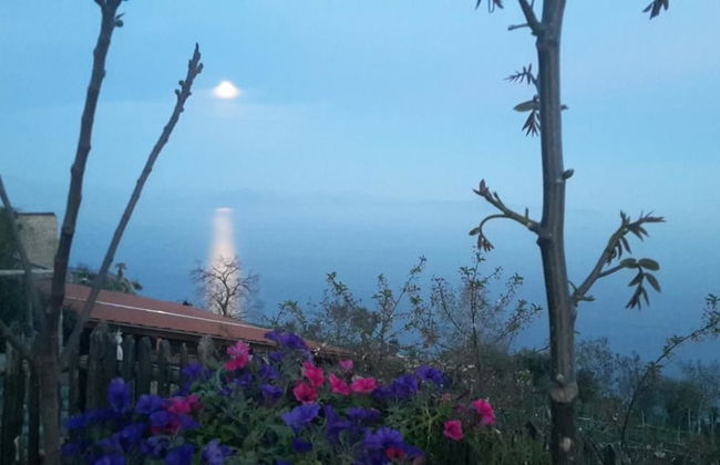 Agriturismo Mare e Monti - Foto 47