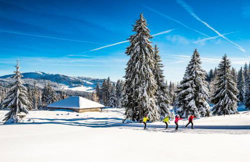 Babaute 7, studio typique au pied des pistes - Foto 18
