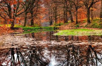 Qi Gong Haus - Foto 36