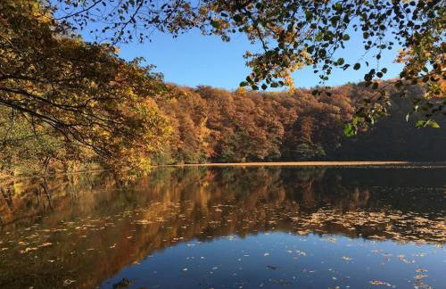 One-bedroom apartment - Foto 16