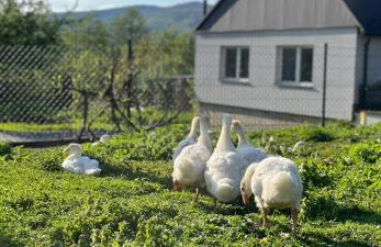 Bądź blisko - Foto 19