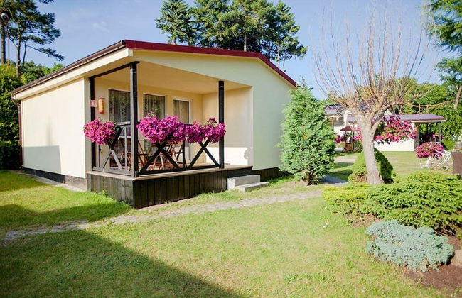 Domki Amber - Foto 12