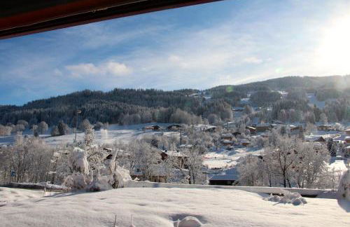 appartement 103m2 près de Megève, face à télécabine la Princesse,2 chambres , garage, local à ski - Foto 46