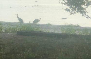 The Huron Hutch - Foto 59