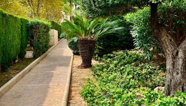 Apartamento cerca del mar y del Peñón de Ifach - Photo 2, Garden view